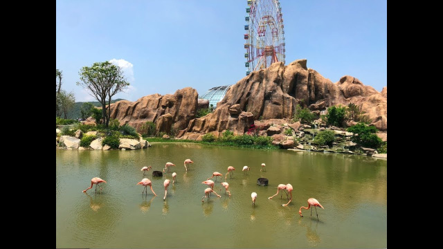 Остров Винперл. Ня Чанг. Вьетнам.Vinpearl. Nha Trang. Vietnam.