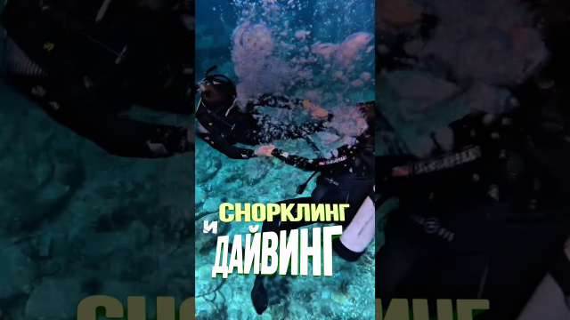 Дайвинг, фридайвинг и снорклинг в Нячанге от проверенных туроператоров #нячанг #вьетнам