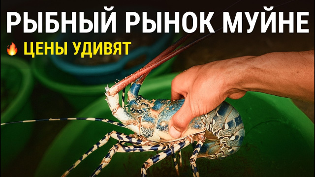 Самый выгодный рынок морепродуктов в Муйне - Вьетнам