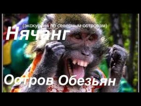 Вьетнам Северные Острова  И Напали Обезьяны