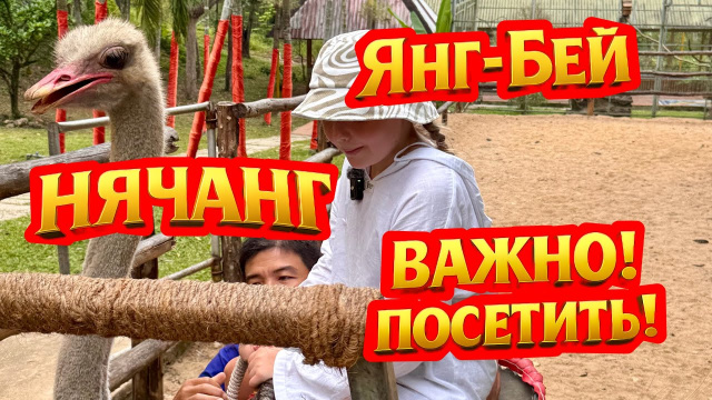 Янг-Бей &mdash; лучший водопад Нячанга! Вы обязаны его посетить 🇻🇳💦